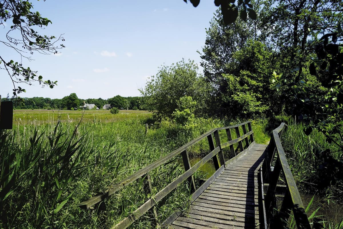 Kastelenroute vanuit je vakantiehuisje: 5x vakantieparken nabij de mooiste burchten van België