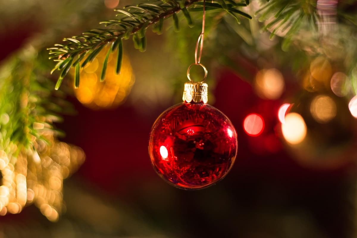 Magisch overwinteren: 5x vakantieparken in België nabij de mooiste kerstmarkten
